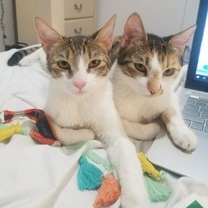 Meet your Posher, Natalia